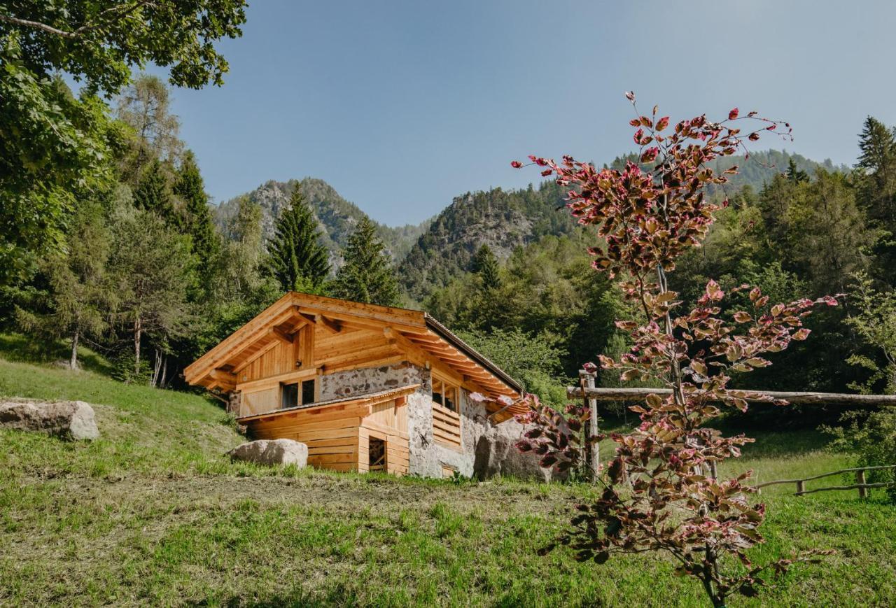 Vila Odomi Maso Nel Bosco Sant'Orsola Exteriér fotografie